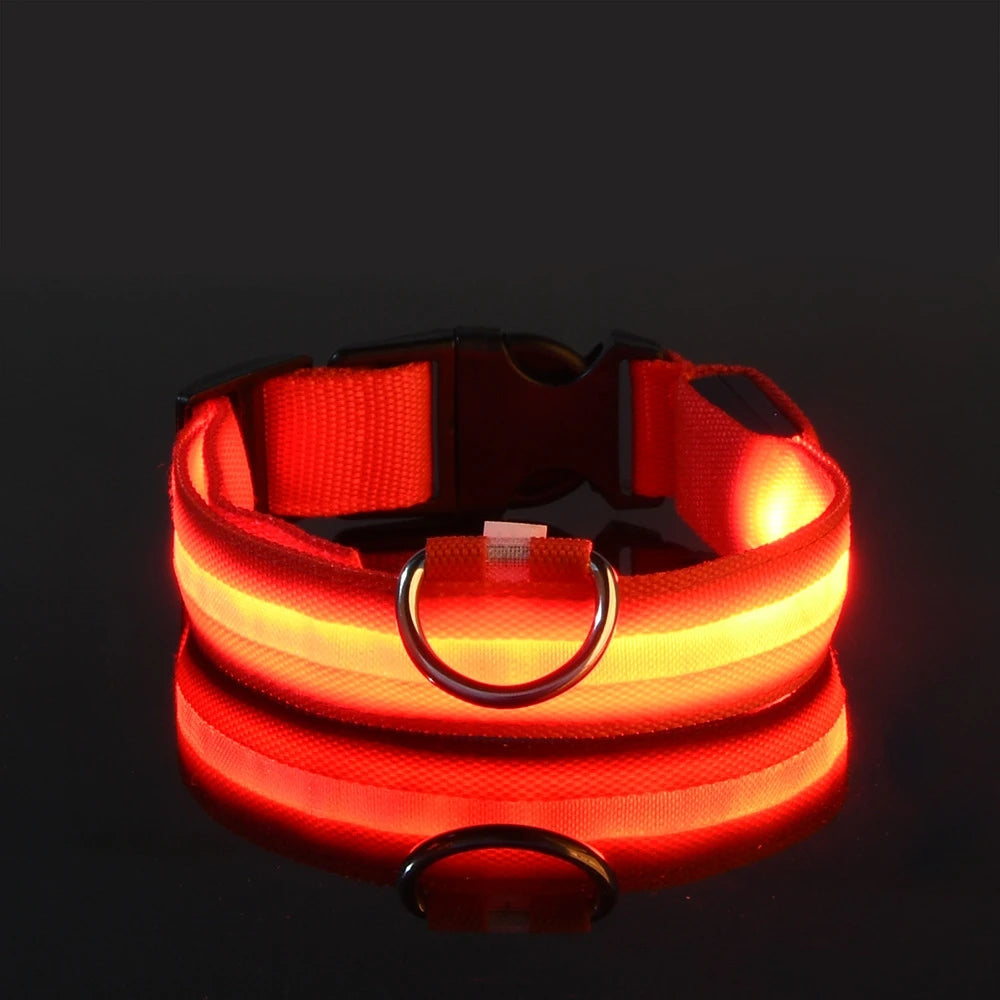 PawfectNova™ LumeGuard: Intelligent LED Safety Collar