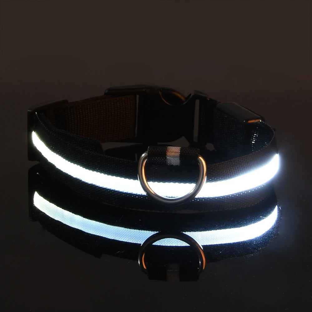 PawfectNova™ LumeGuard: Intelligent LED Safety Collar