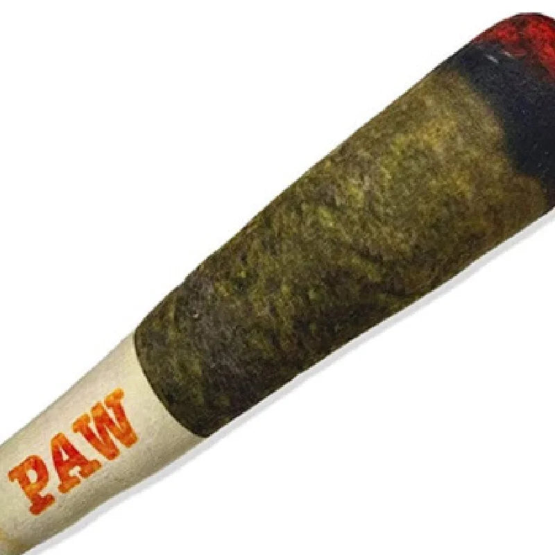 PawfectNova™ Havana: Plush Interactive Cigar Toy