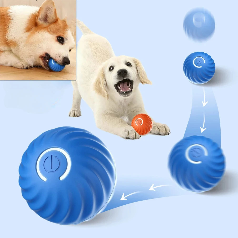 PawfectNova™ Orbit: Smart Interactive Rolling Ball