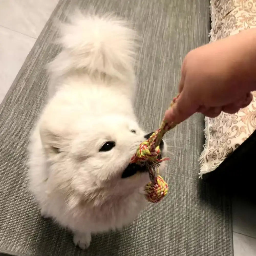 PawfectNova™ Kinetic-Knot: Multi-Texture Interaction Rope
