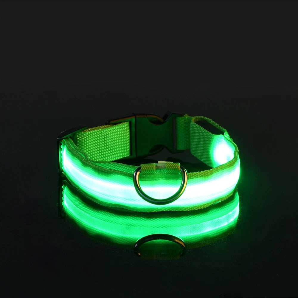 PawfectNova™ LumeGuard: Intelligent LED Safety Collar
