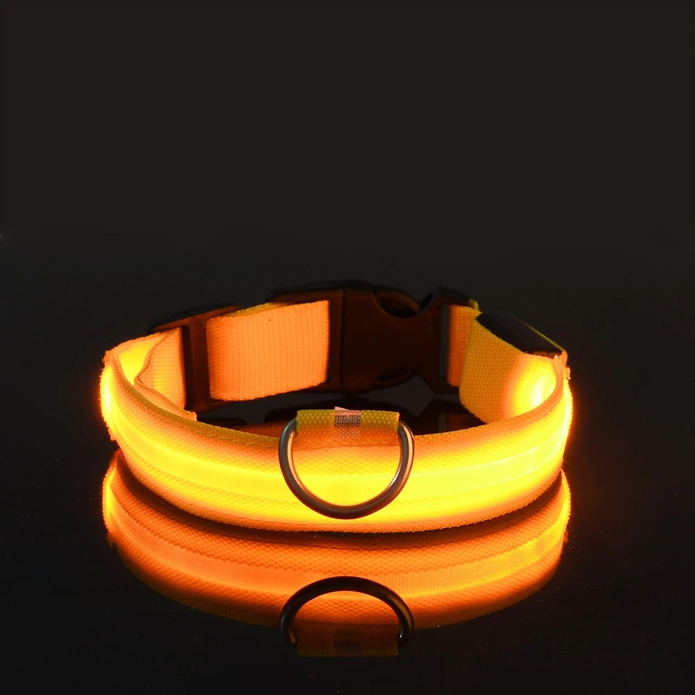 PawfectNova™ LumeGuard: Intelligent LED Safety Collar