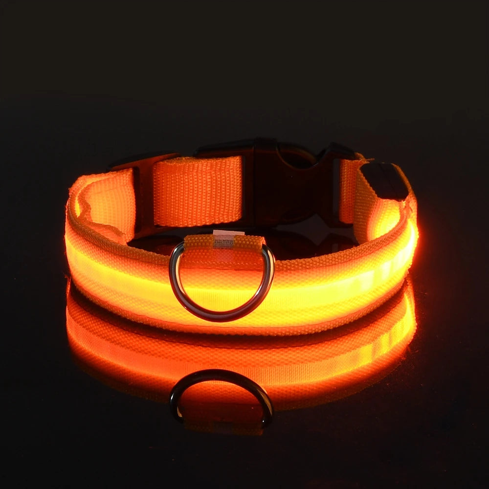 PawfectNova™ LumeGuard: Intelligent LED Safety Collar