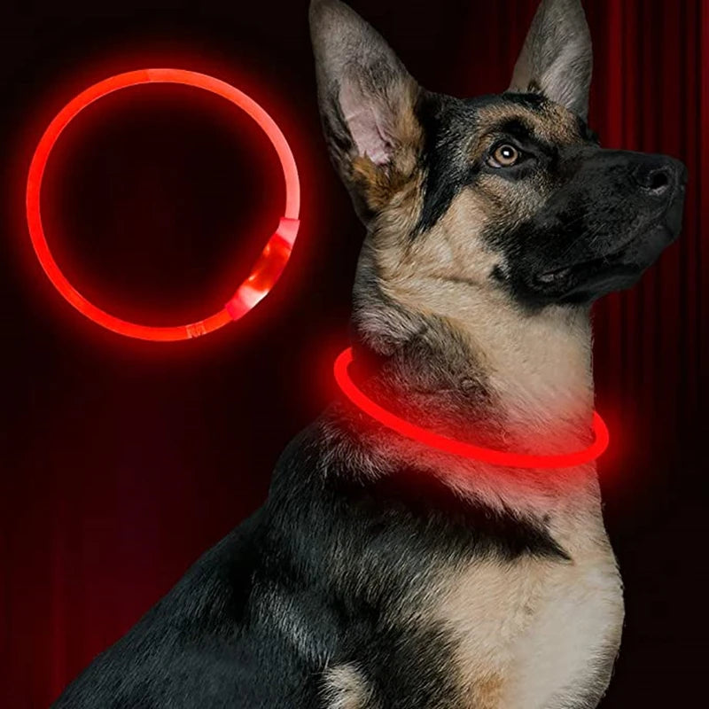 PawfectNova™ Glow Guard LED Dog Collar