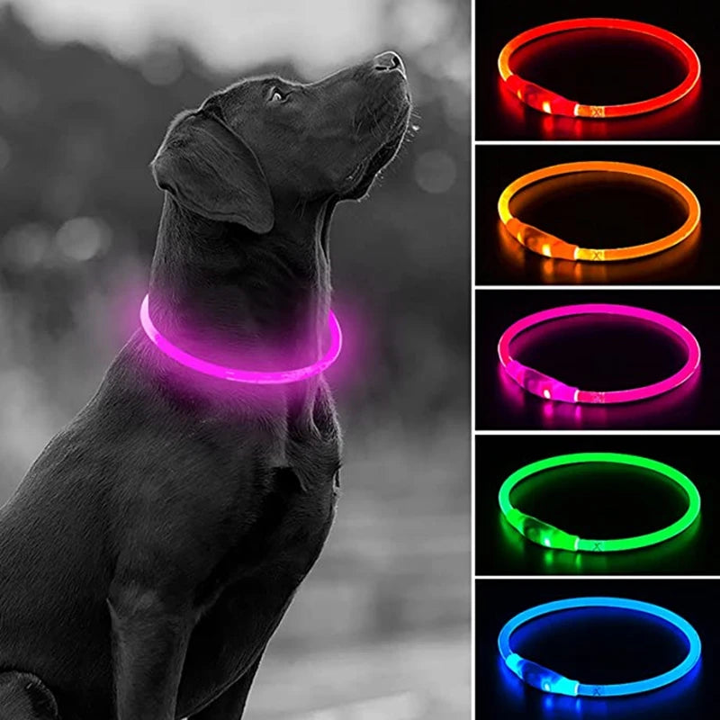PawfectNova™ Glow Guard LED Dog Collar