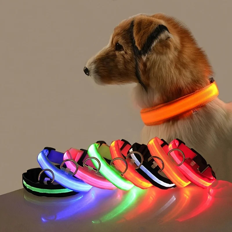 PawfectNova™ LumeGuard: Intelligent LED Safety Collar