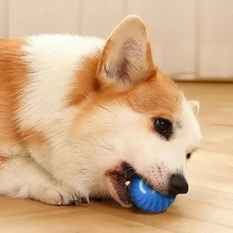 PawfectNova™ Orbit: Smart Interactive Rolling Ball