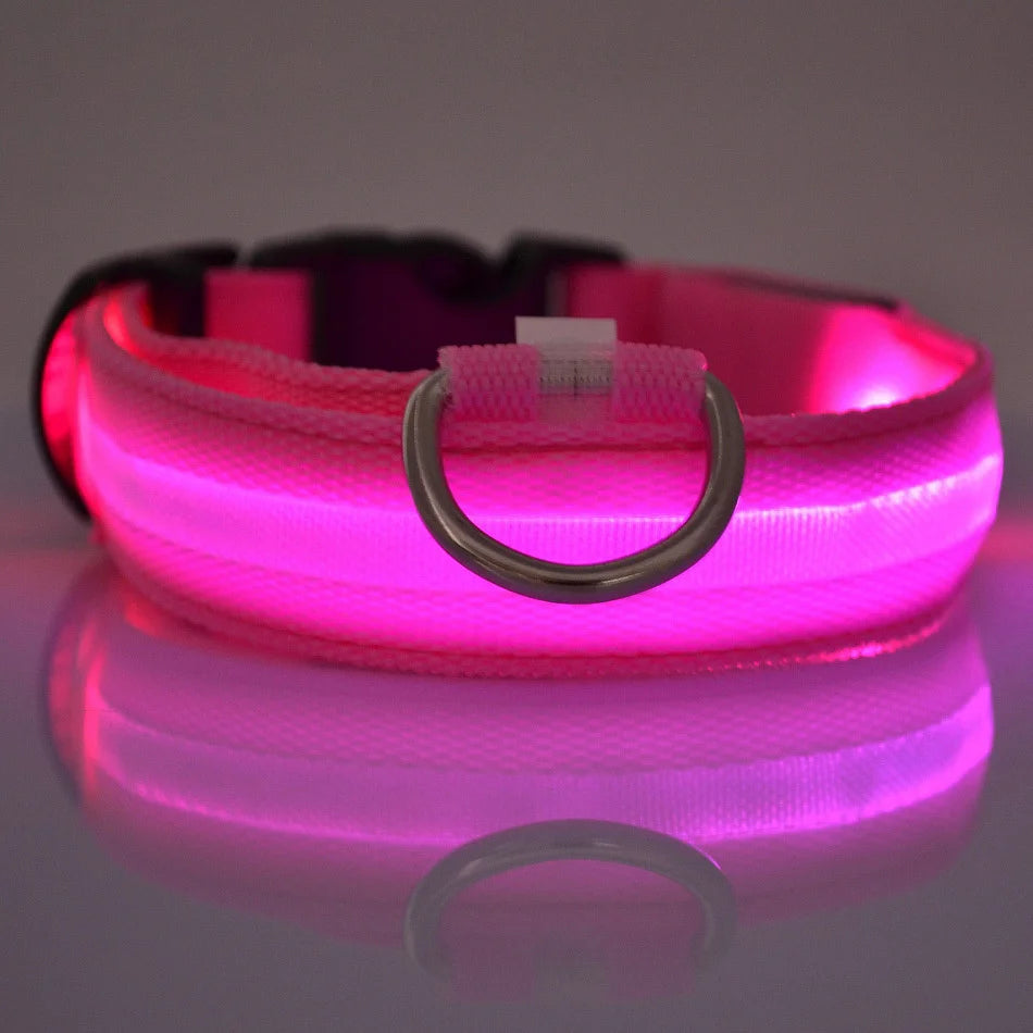 PawfectNova™ LumeGuard: Intelligent LED Safety Collar