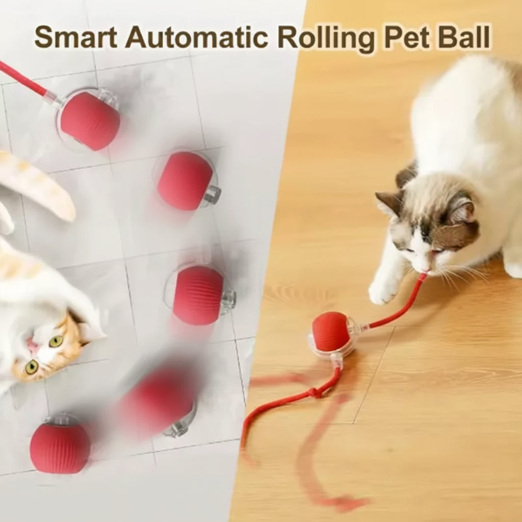 PawfectNova™ Kinetic Smart Ball: 360° Intelligent Play