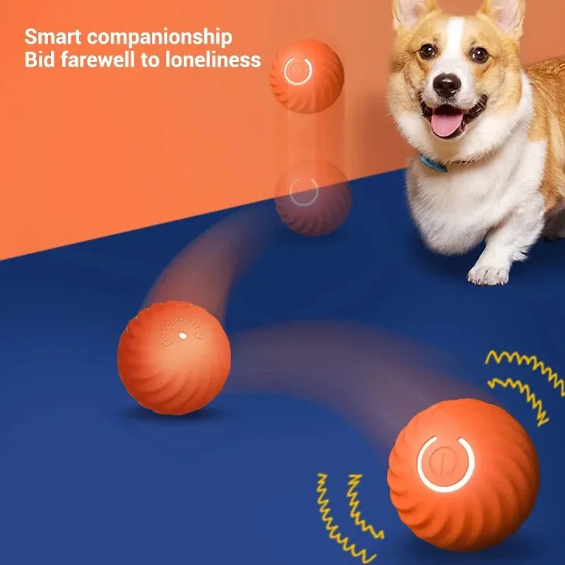 PawfectNova™ Orbit: Smart Interactive Rolling Ball