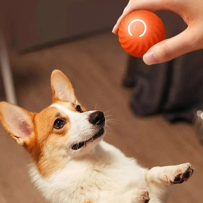 PawfectNova™ Orbit: Smart Interactive Rolling Ball