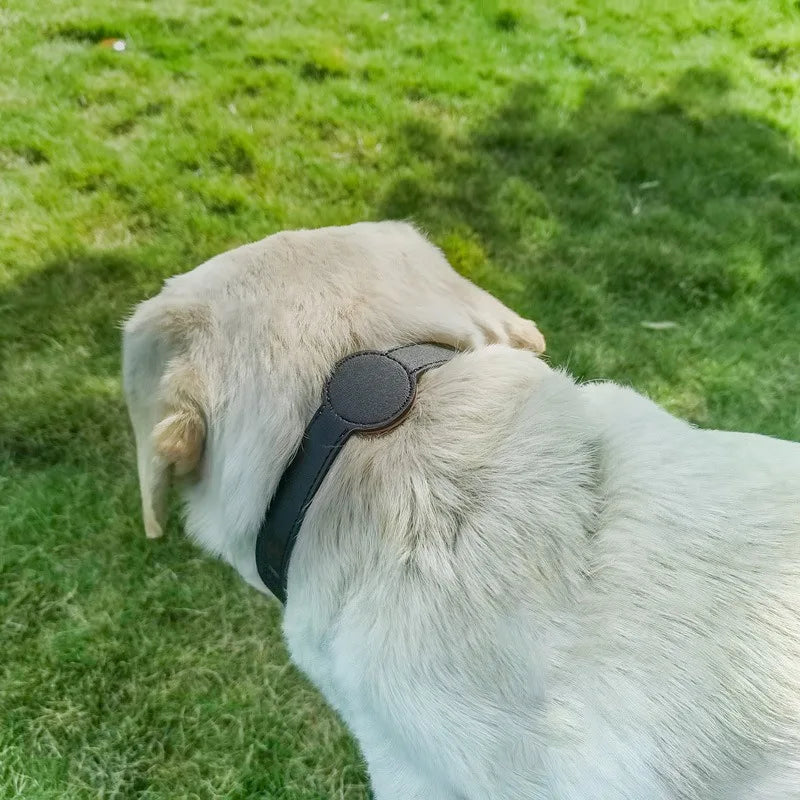 PawfectNova™ Apple AirTag Pet Collar: Waterproof, Durable, Anti-Lost Protection.